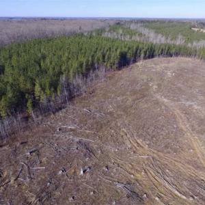 Photo of 65.92 Acres of Hunting and Recreational Land For Sale in Halifax County VA!