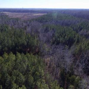Photo of 65.92 Acres of Hunting and Recreational Land For Sale in Halifax County VA!