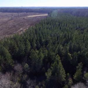 Photo of 65.92 Acres of Hunting and Recreational Land For Sale in Halifax County VA!
