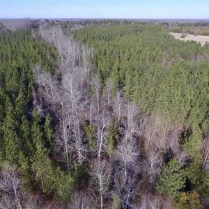 Photo of 65.92 Acres of Hunting and Recreational Land For Sale in Halifax County VA!