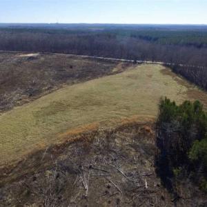 Photo of 65.92 Acres of Hunting and Recreational Land For Sale in Halifax County VA!