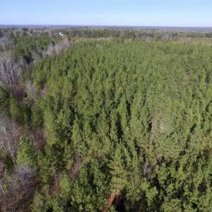 Photo of 65.92 Acres of Hunting and Recreational Land For Sale in Halifax County VA!