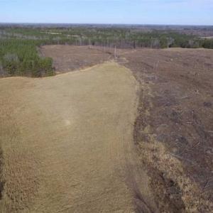 Photo of 65.92 Acres of Hunting and Recreational Land For Sale in Halifax County VA!