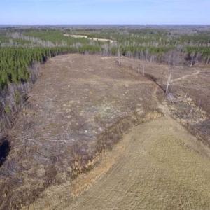 Photo of 65.92 Acres of Hunting and Recreational Land For Sale in Halifax County VA!
