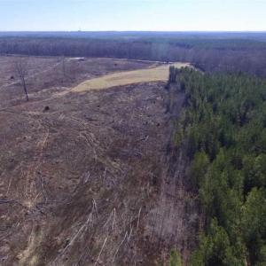 Photo of 65.92 Acres of Hunting and Recreational Land For Sale in Halifax County VA!