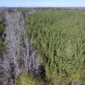 Photo of 65.92 Acres of Hunting and Recreational Land For Sale in Halifax County VA!