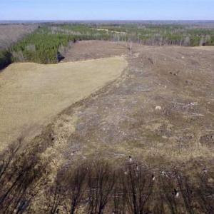 Photo of 65.92 Acres of Hunting and Recreational Land For Sale in Halifax County VA!