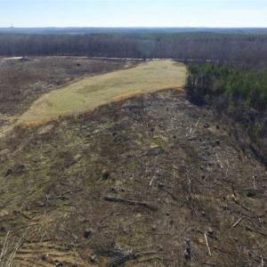 Photo of 65.92 Acres of Hunting and Recreational Land For Sale in Halifax County VA!