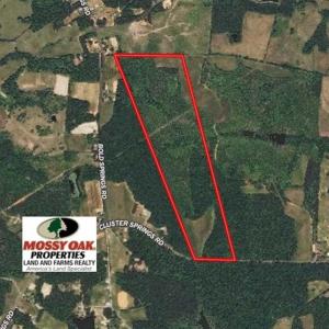 Photo of 65.92 Acres of Hunting and Recreational Land For Sale in Halifax County VA!