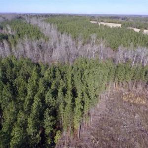 Photo of 65.92 Acres of Hunting and Recreational Land For Sale in Halifax County VA!