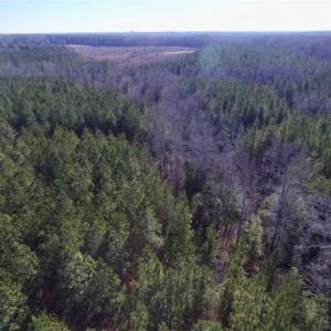 Photo of 65.92 Acres of Hunting and Recreational Land For Sale in Halifax County VA!