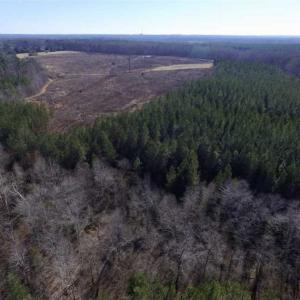 Photo of 65.92 Acres of Hunting and Recreational Land For Sale in Halifax County VA!