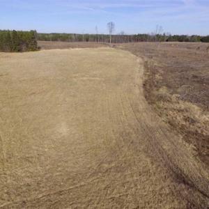 Photo of 65.92 Acres of Hunting and Recreational Land For Sale in Halifax County VA!