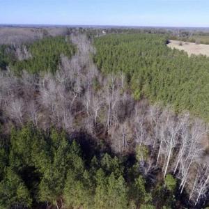 Photo of 65.92 Acres of Hunting and Recreational Land For Sale in Halifax County VA!