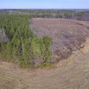 Photo of 65.92 Acres of Hunting and Recreational Land For Sale in Halifax County VA!
