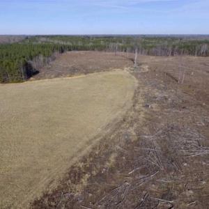 Photo of 65.92 Acres of Hunting and Recreational Land For Sale in Halifax County VA!