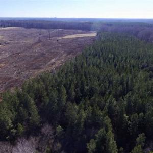 Photo of 65.92 Acres of Hunting and Recreational Land For Sale in Halifax County VA!