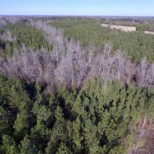 Photo of 65.92 Acres of Hunting and Recreational Land For Sale in Halifax County VA!