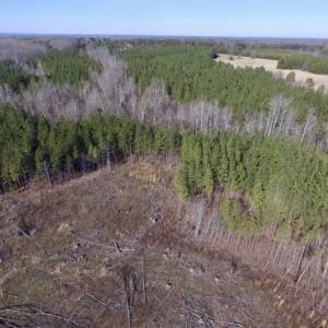 Photo of 65.92 Acres of Hunting and Recreational Land For Sale in Halifax County VA!