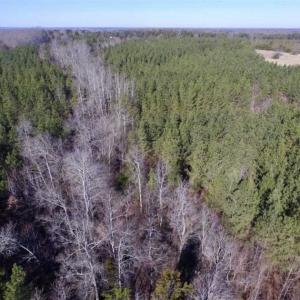 Photo of 65.92 Acres of Hunting and Recreational Land For Sale in Halifax County VA!