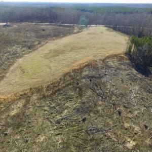 Photo of 65.92 Acres of Hunting and Recreational Land For Sale in Halifax County VA!