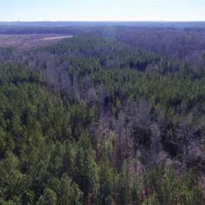 Photo of 65.92 Acres of Hunting and Recreational Land For Sale in Halifax County VA!