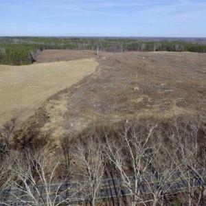 Photo of 65.92 Acres of Hunting and Recreational Land For Sale in Halifax County VA!