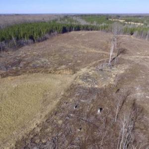 Photo of 65.92 Acres of Hunting and Recreational Land For Sale in Halifax County VA!
