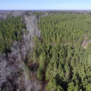 Photo of 65.92 Acres of Hunting and Recreational Land For Sale in Halifax County VA!