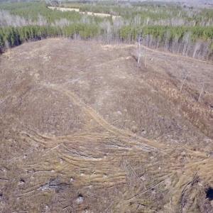 Photo of 65.92 Acres of Hunting and Recreational Land For Sale in Halifax County VA!