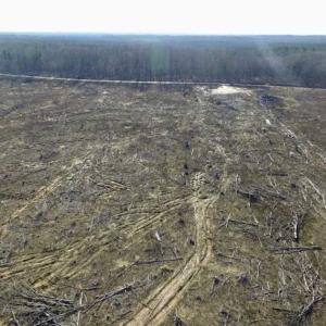 Photo of 65.92 Acres of Farmland and Recreational Land For Sale in Halifax County VA!