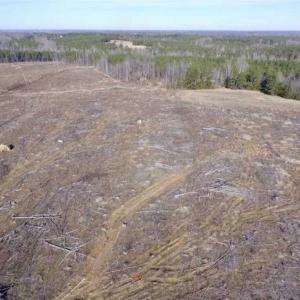 Photo of 65.92 Acres of Farmland and Recreational Land For Sale in Halifax County VA!