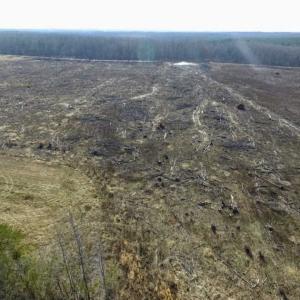 Photo of 65.92 Acres of Farmland and Recreational Land For Sale in Halifax County VA!