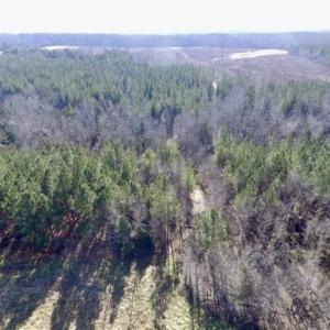 Photo of 65.92 Acres of Farmland and Recreational Land For Sale in Halifax County VA!