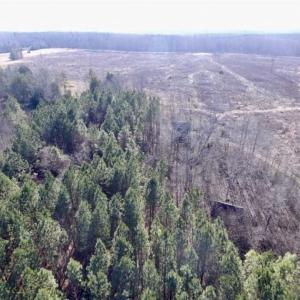 Photo of 65.92 Acres of Farmland and Recreational Land For Sale in Halifax County VA!