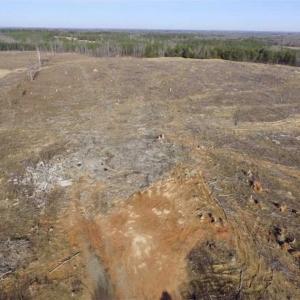 Photo of 65.92 Acres of Farmland and Recreational Land For Sale in Halifax County VA!