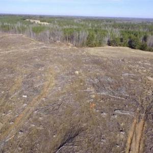 Photo of 65.92 Acres of Farmland and Recreational Land For Sale in Halifax County VA!
