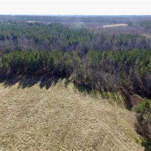 Photo of 65.92 Acres of Farmland and Recreational Land For Sale in Halifax County VA!
