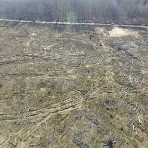 Photo of 65.92 Acres of Farmland and Recreational Land For Sale in Halifax County VA!