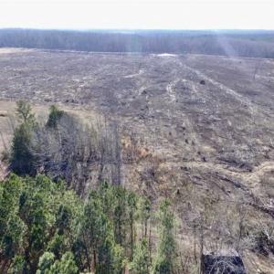 Photo of 65.92 Acres of Farmland and Recreational Land For Sale in Halifax County VA!
