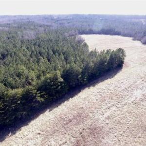 Photo of 65.92 Acres of Farmland and Recreational Land For Sale in Halifax County VA!