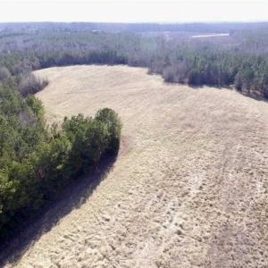 Photo of 65.92 Acres of Farmland and Recreational Land For Sale in Halifax County VA!
