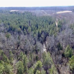 Photo of 65.92 Acres of Farmland and Recreational Land For Sale in Halifax County VA!