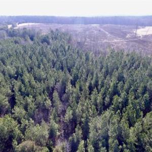 Photo of 65.92 Acres of Farmland and Recreational Land For Sale in Halifax County VA!