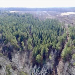 Photo of 65.92 Acres of Farmland and Recreational Land For Sale in Halifax County VA!