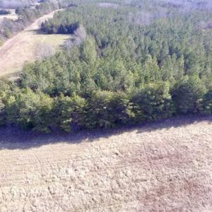 Photo of 65.92 Acres of Farmland and Recreational Land For Sale in Halifax County VA!