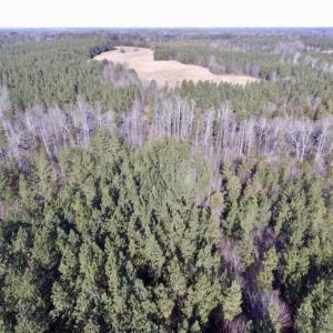 Photo of 65.92 Acres of Farmland and Recreational Land For Sale in Halifax County VA!