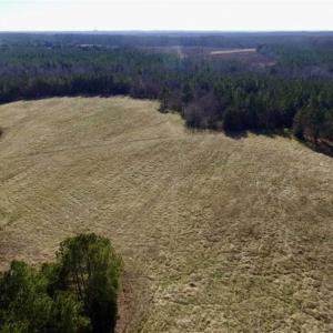 Photo of 65.92 Acres of Farmland and Recreational Land For Sale in Halifax County VA!