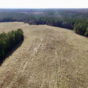 Photo of 65.92 Acres of Farmland and Recreational Land For Sale in Halifax County VA!