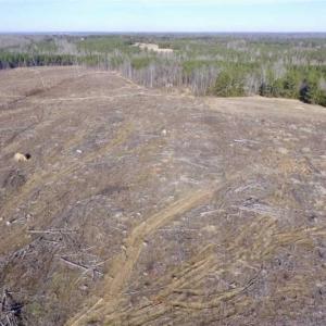 Photo of 65.92 Acres of Farmland and Recreational Land For Sale in Halifax County VA!